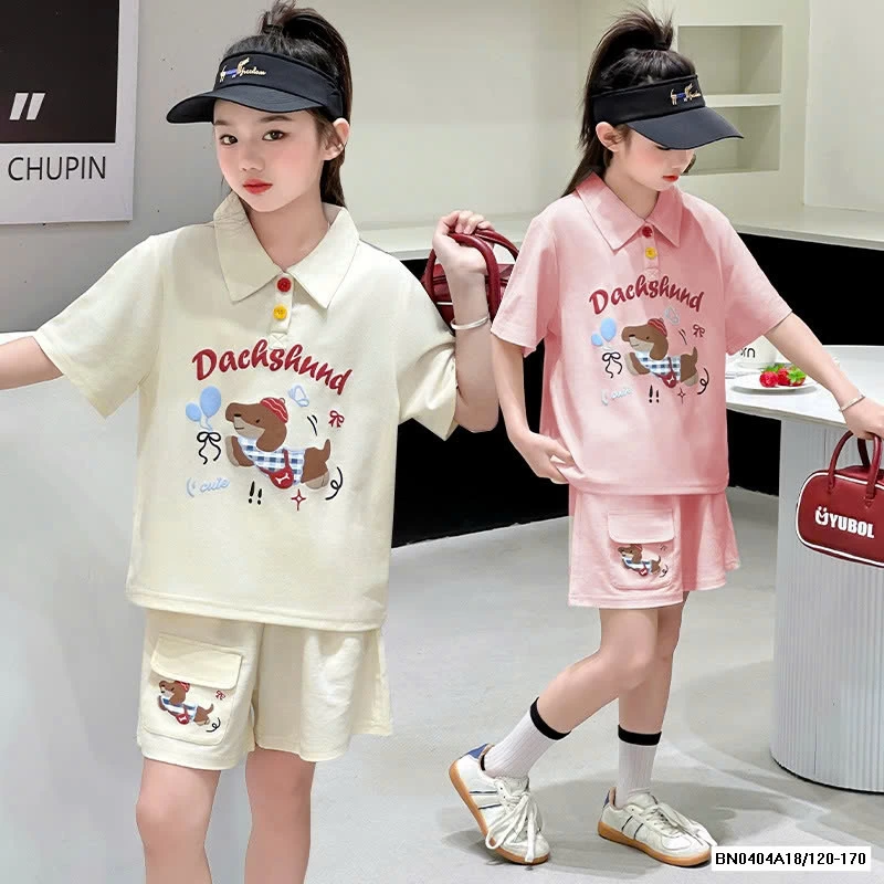 SÉT CỘC POLO CÚN SZ ĐẠI