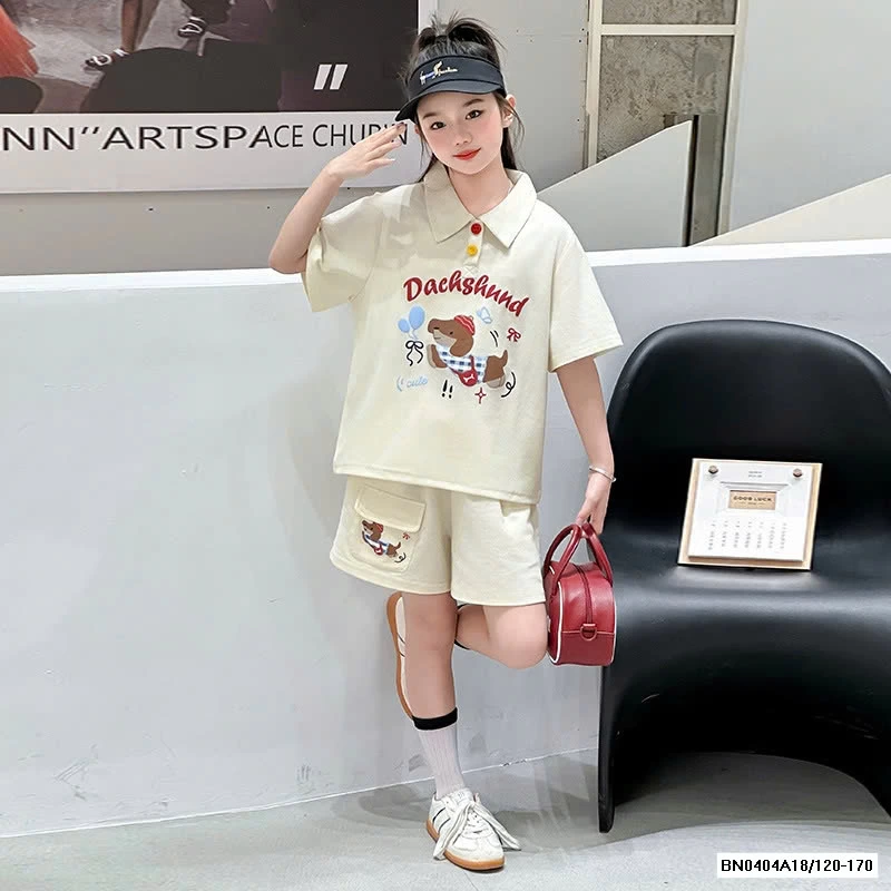 SÉT CỘC POLO CÚN SZ ĐẠI