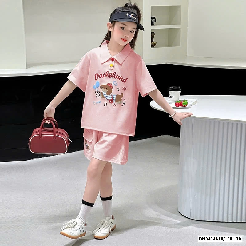 SÉT CỘC POLO CÚN SZ ĐẠI