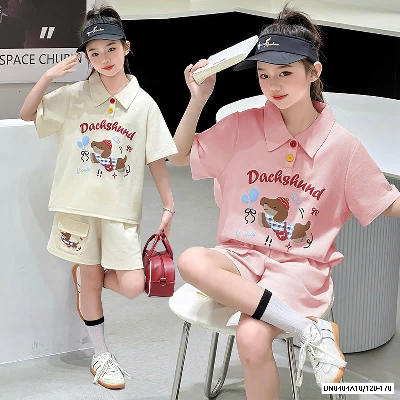 SÉT CỘC POLO CÚN SZ ĐẠI