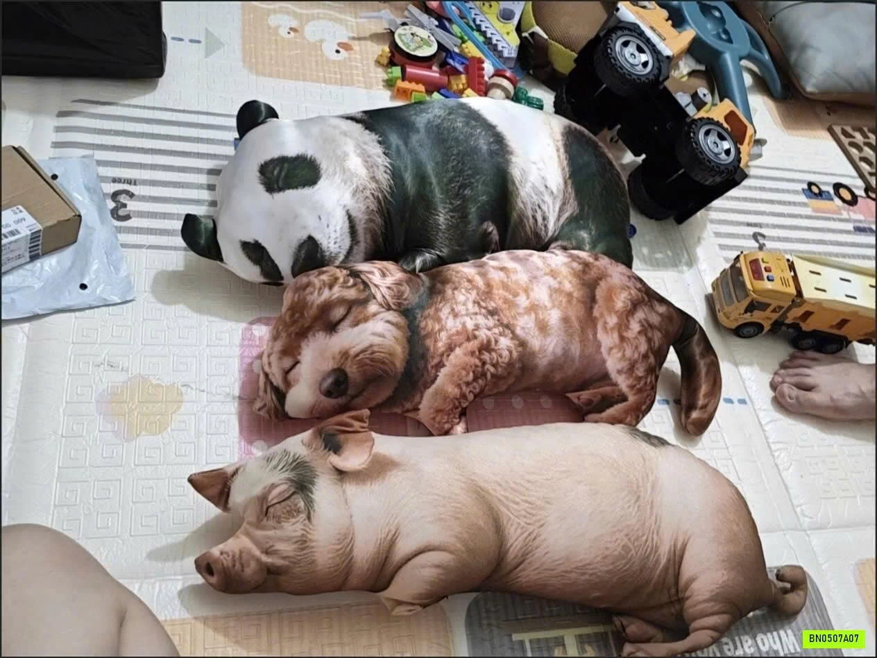 THÚ BÔNG ĐỘNG VẬT