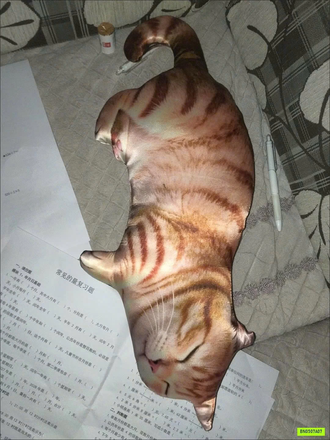 THÚ BÔNG ĐỘNG VẬT