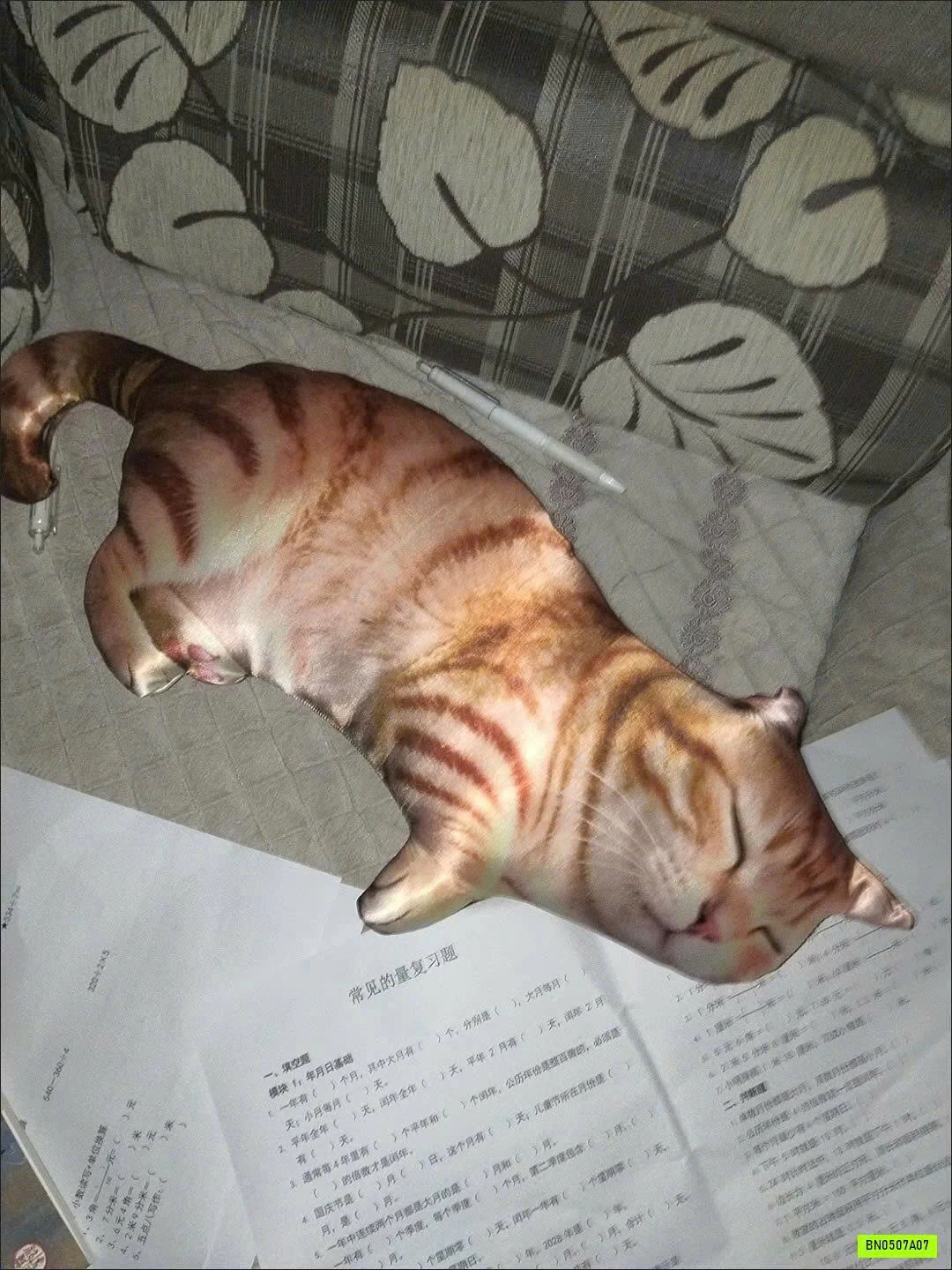 THÚ BÔNG ĐỘNG VẬT