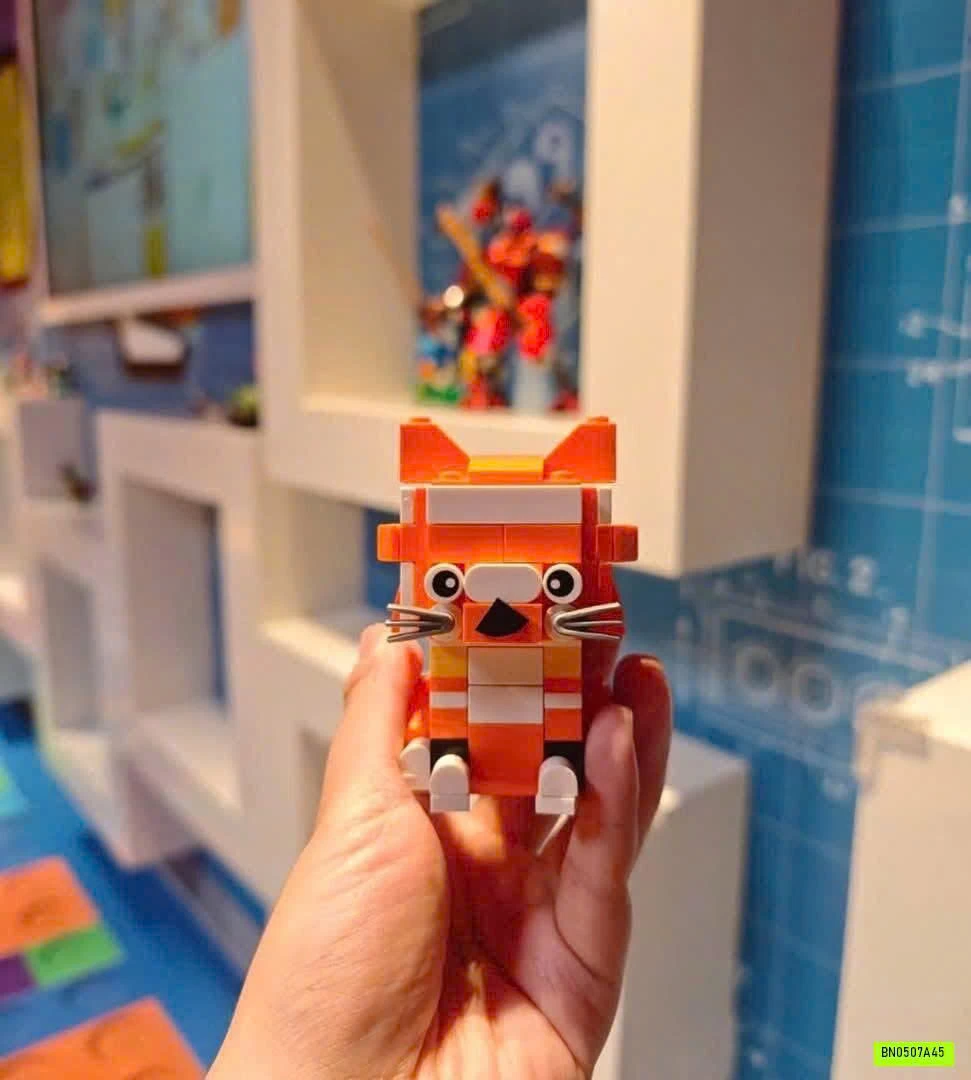 SET 10 LEGO CÔN TRÙNG