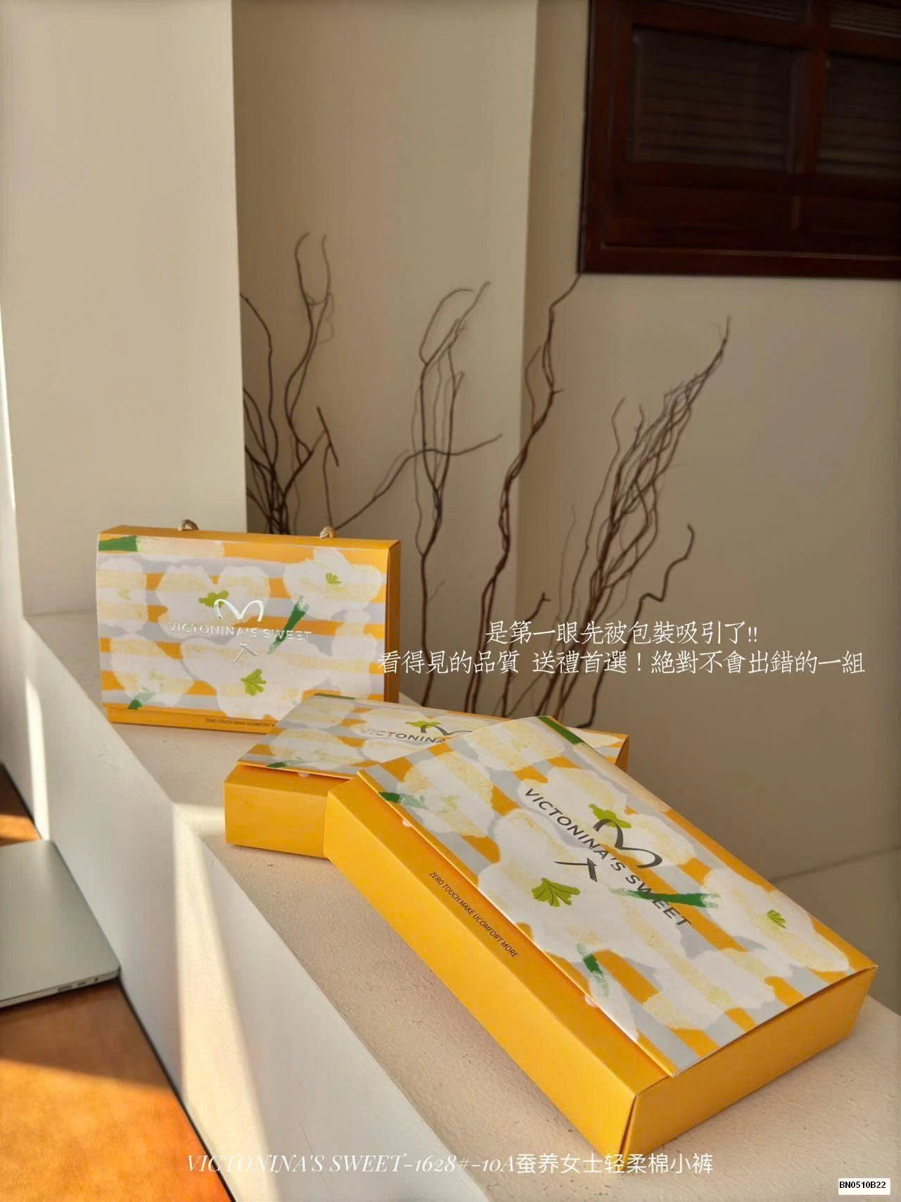 SÉT 6C QUẦN CHIP COTTON VIỀN SÓNG