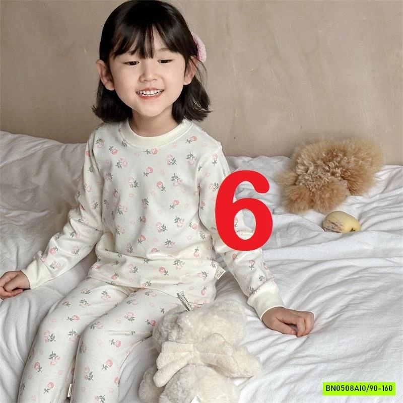 BỘ NỈ HỌA TIẾT GIỮ NHIỆT