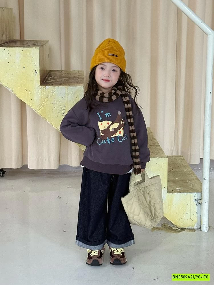 ÁO NỈ IN HÌNH 25F053 AMBB