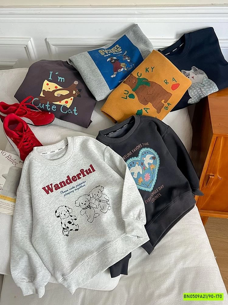 ÁO NỈ IN HÌNH 25F053 AMBB