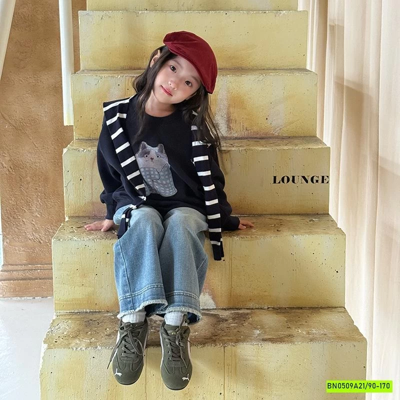 ÁO NỈ IN HÌNH 25F053 AMBB