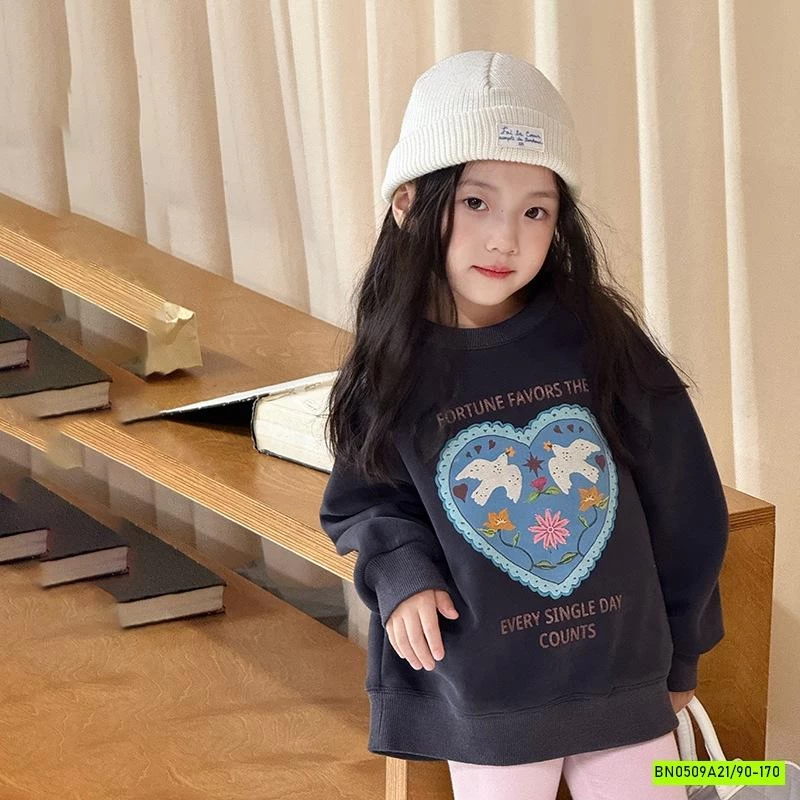 ÁO NỈ IN HÌNH 25F053 AMBB