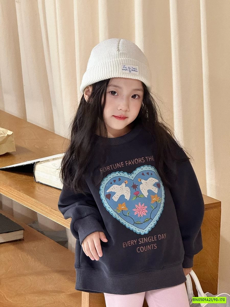 ÁO NỈ IN HÌNH 25F053 AMBB