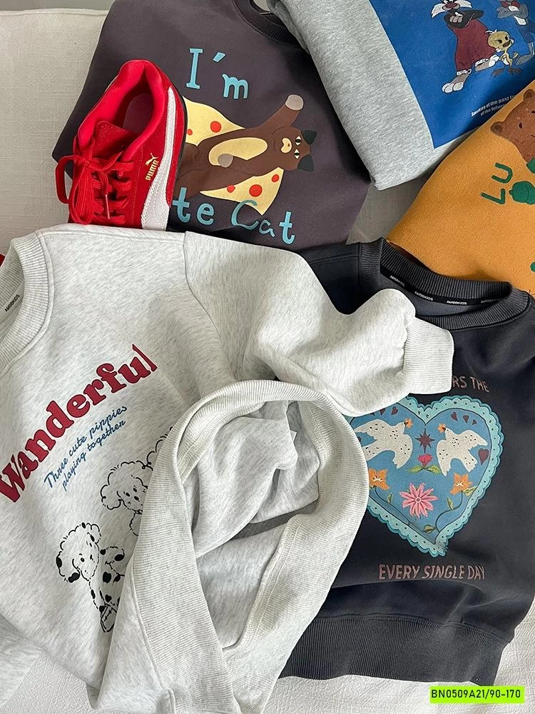 ÁO NỈ IN HÌNH 25F053 AMBB