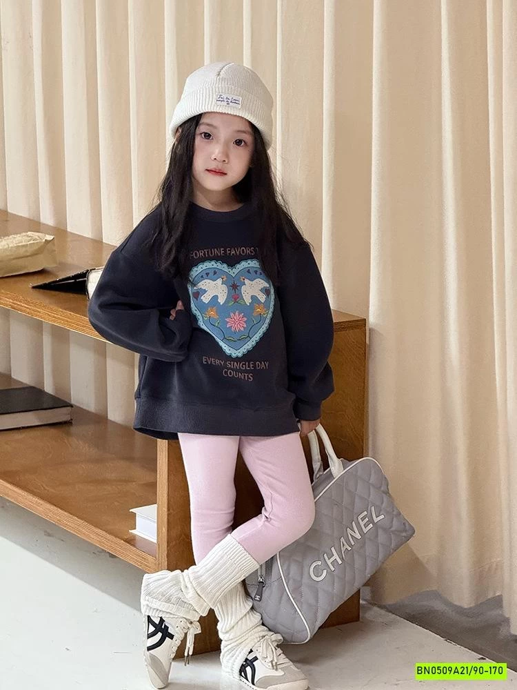 ÁO NỈ IN HÌNH 25F053 AMBB