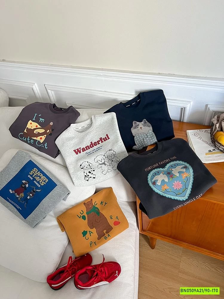 ÁO NỈ IN HÌNH 25F053 AMBB