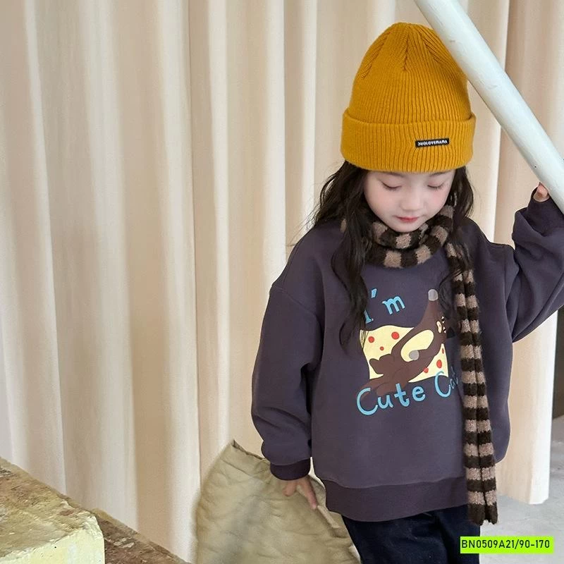 ÁO NỈ IN HÌNH 25F053 AMBB