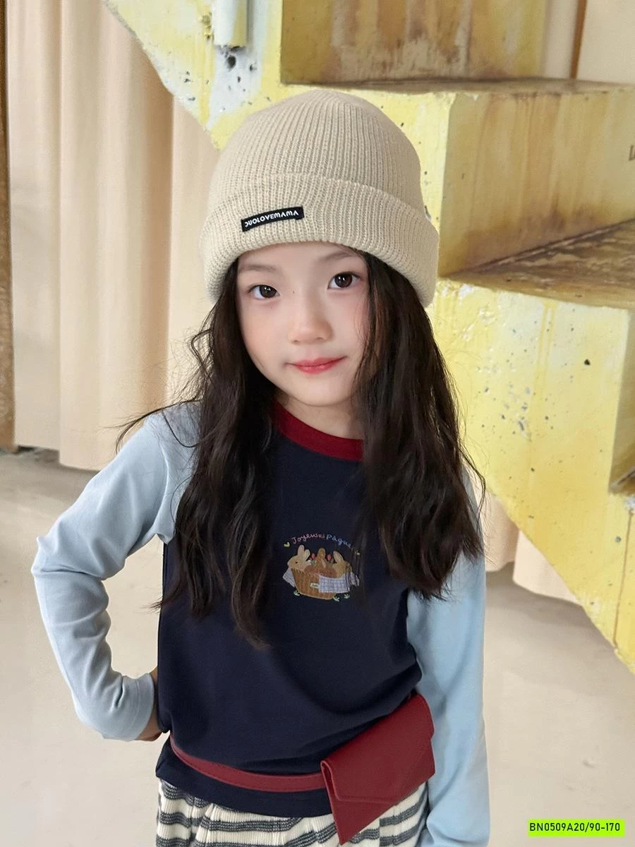 ÁO THUN PHỐI MÀU TAY 25F019 AMBB