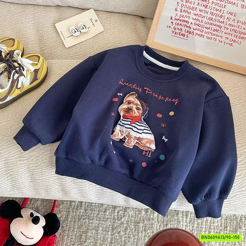 ÁO NỈ IN HÌNH 3D