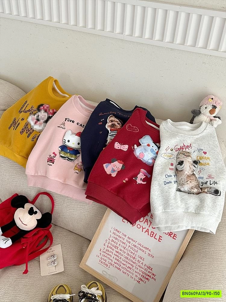 ÁO NỈ IN HÌNH 3D