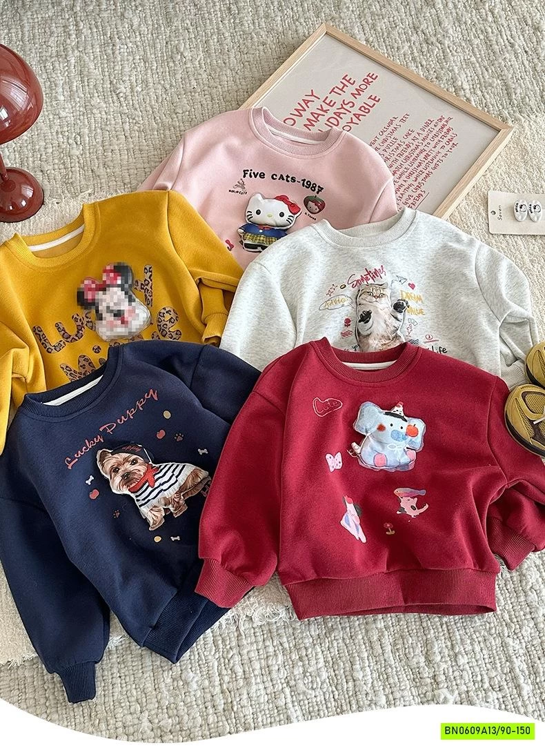 ÁO NỈ IN HÌNH 3D