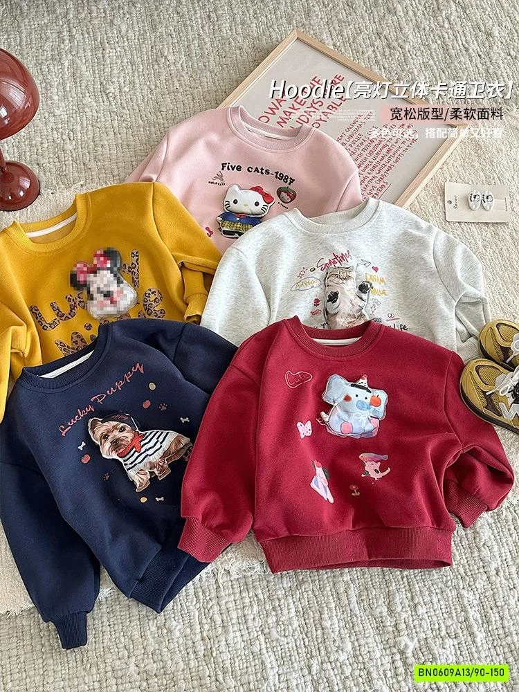 ÁO NỈ IN HÌNH 3D