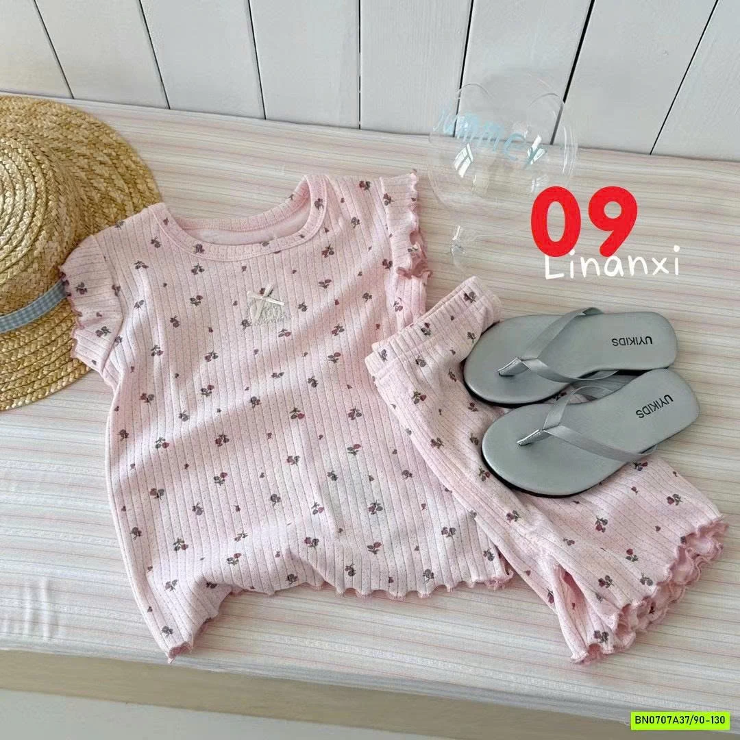 BỘ COTON GIẤY CÁNH TIÊN LINANXI