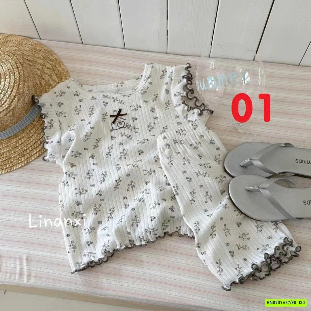 BỘ COTON GIẤY CÁNH TIÊN LINANXI