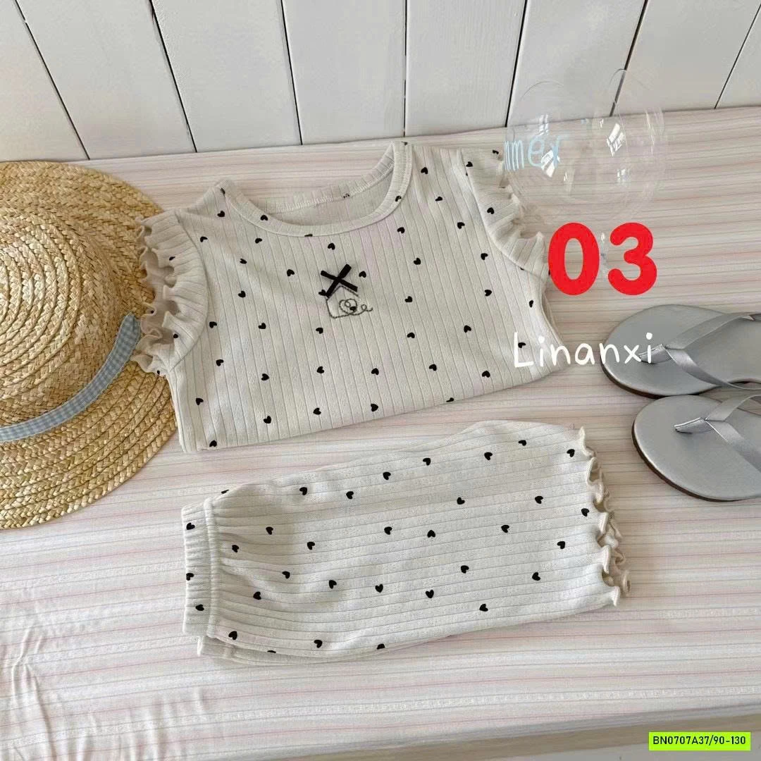 BỘ COTON GIẤY CÁNH TIÊN LINANXI