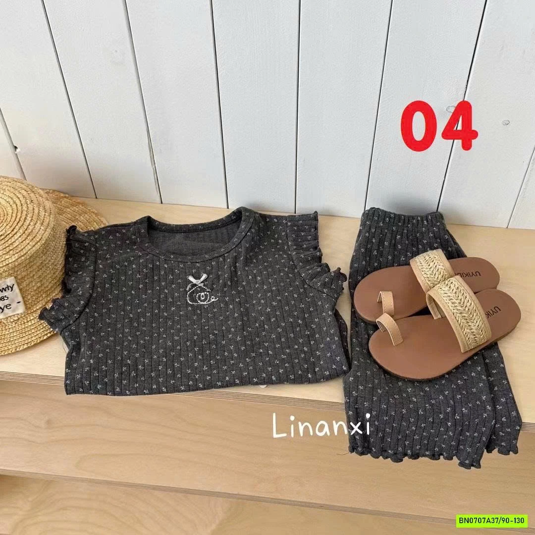 BỘ COTON GIẤY CÁNH TIÊN LINANXI