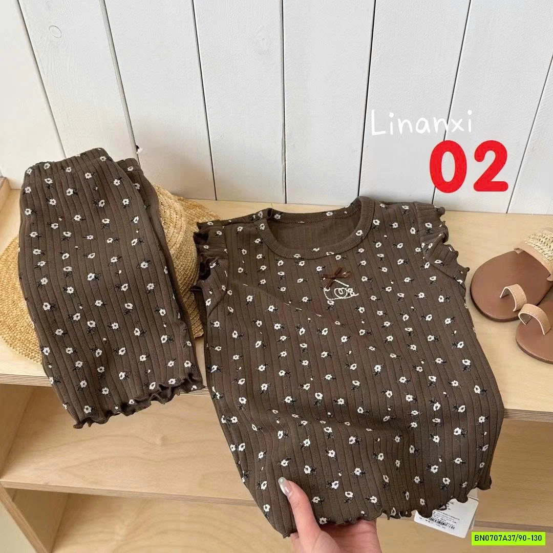 BỘ COTON GIẤY CÁNH TIÊN LINANXI