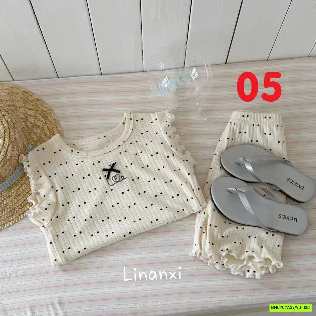 BỘ COTON GIẤY CÁNH TIÊN LINANXI