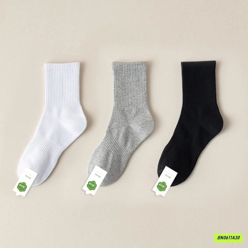 SÉT 3Đ TẤT NAM BASIC