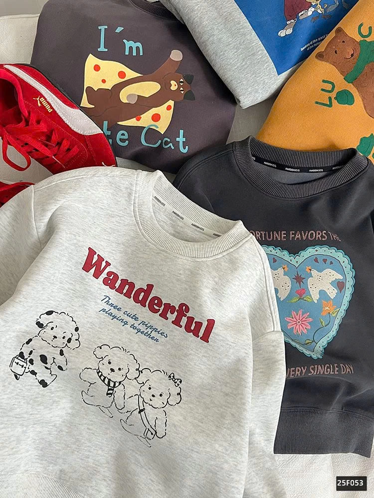 BST ÁO NỈ IN HÌNH AMBB 25F053