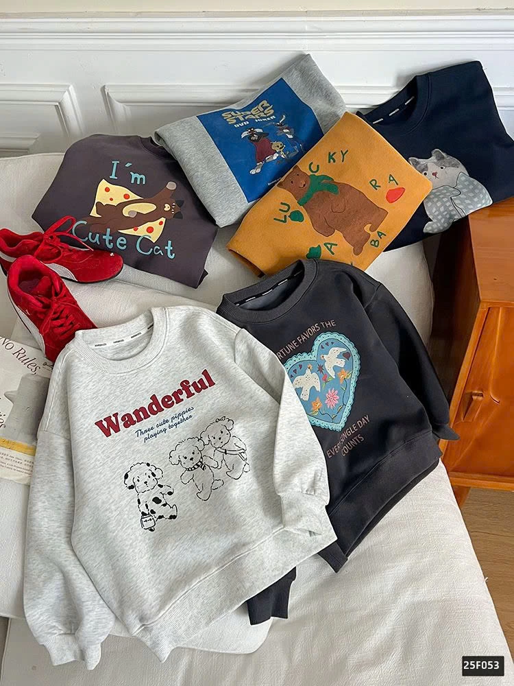 BST ÁO NỈ IN HÌNH AMBB 25F053