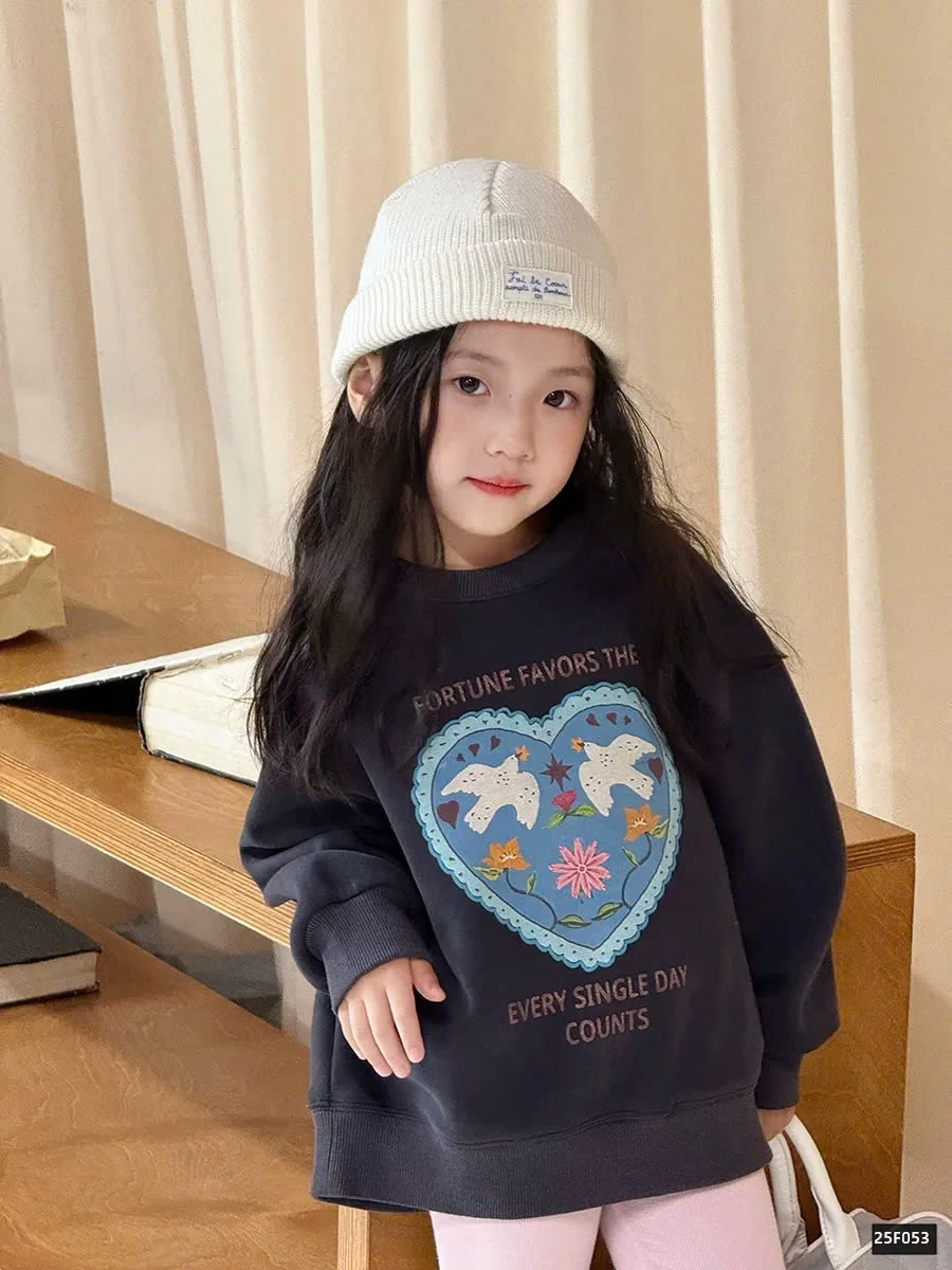 BST ÁO NỈ IN HÌNH AMBB 25F053