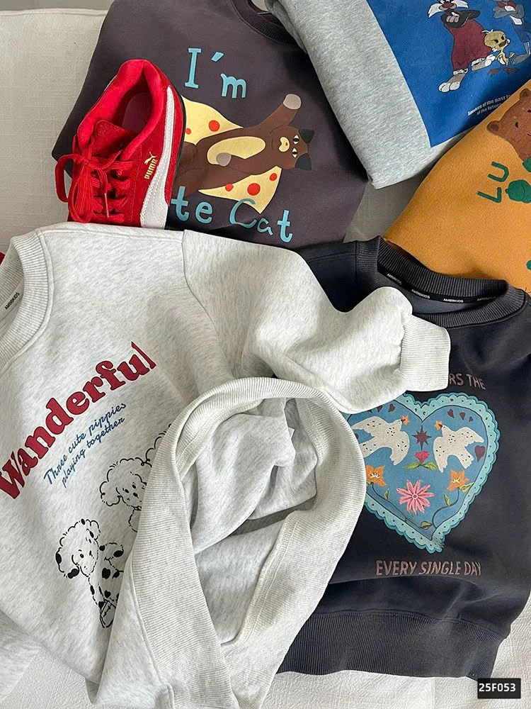 BST ÁO NỈ IN HÌNH AMBB 25F053