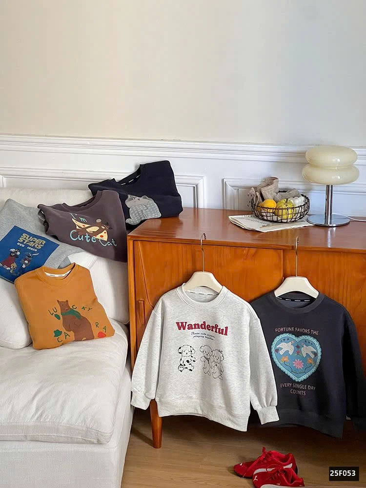 BST ÁO NỈ IN HÌNH AMBB 25F053