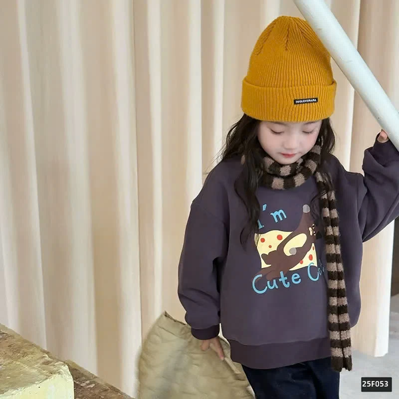 BST ÁO NỈ IN HÌNH AMBB 25F053