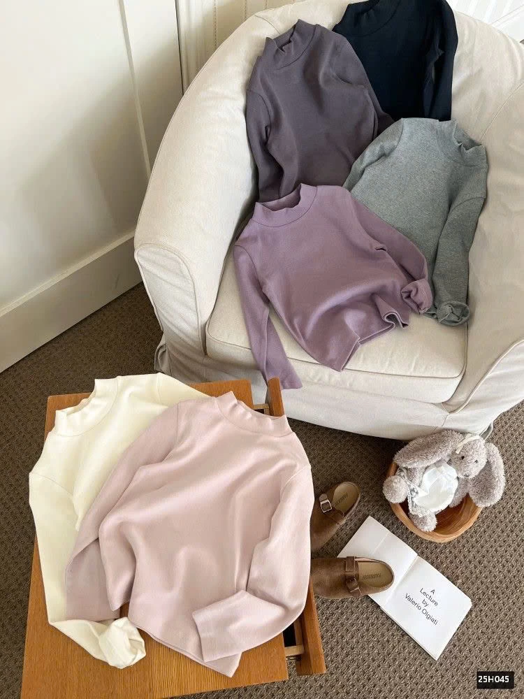 ÁO THUN GIỮ NHIỆT TRƠN MÀU CAO CỔ AMBB 25H045