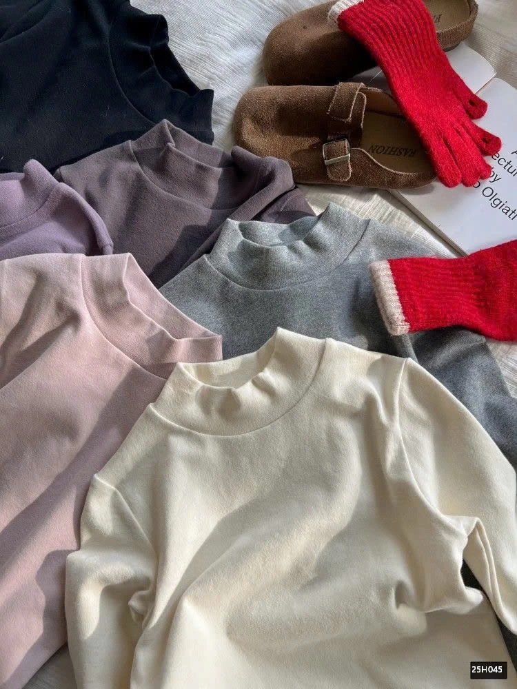 ÁO THUN GIỮ NHIỆT TRƠN MÀU CAO CỔ AMBB 25H045