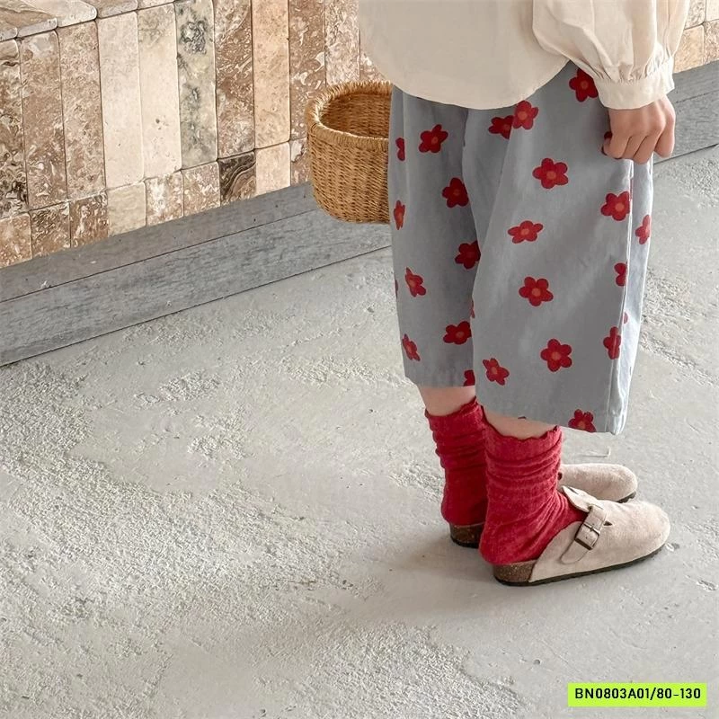 BAGGY HOA LỠ 6095 ADBABY