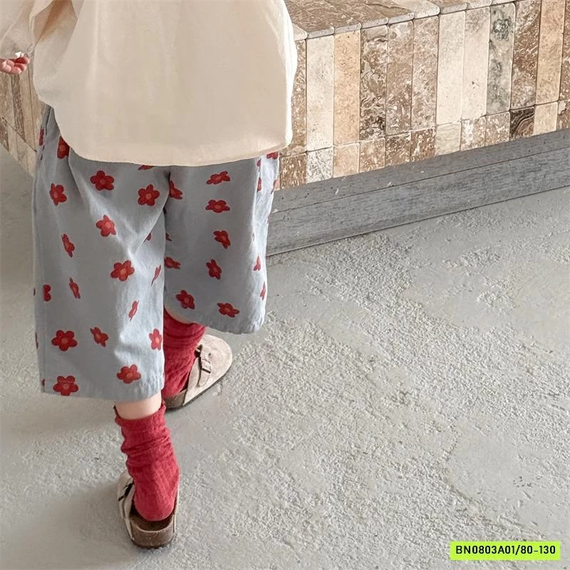 BAGGY HOA LỠ 6095 ADBABY