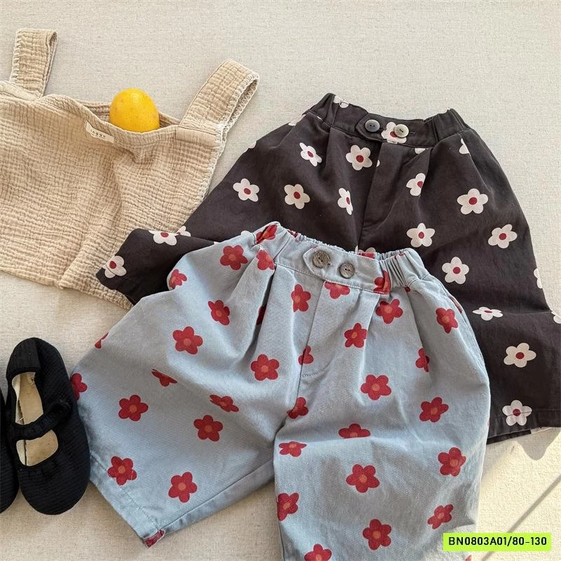 BAGGY HOA LỠ 6095 ADBABY