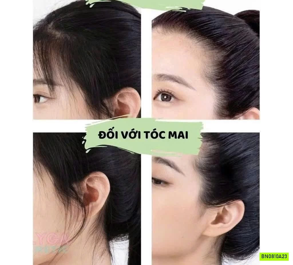 CÂY CHẢI GIỮ NẾP TÓC