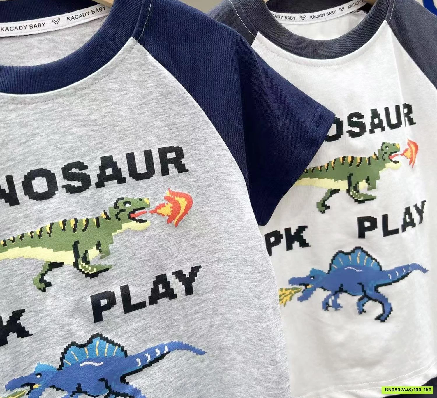 BỘ COTTON KHỦNG LONG KACADY