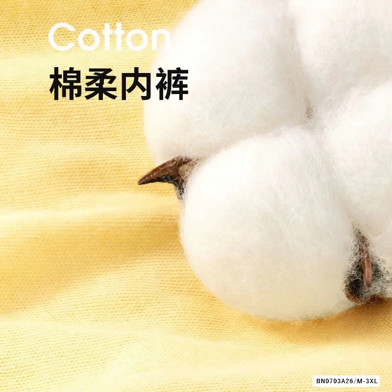 SÉT 10 QUÀN CHIP MẶC 1 LẦN