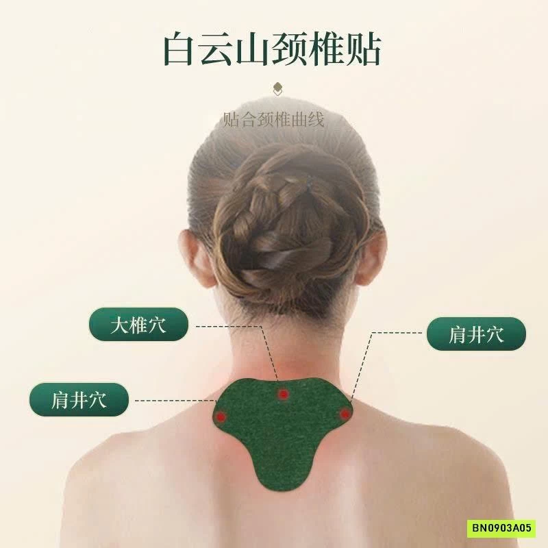 COMBO 5 HỘP NGẢI DÁN CỔ VAI GÁY