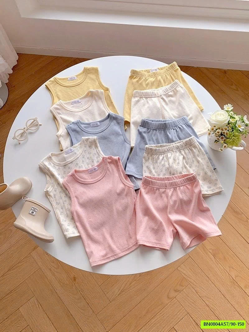 BỘ COTTON GIẤY THÔNG HƠI