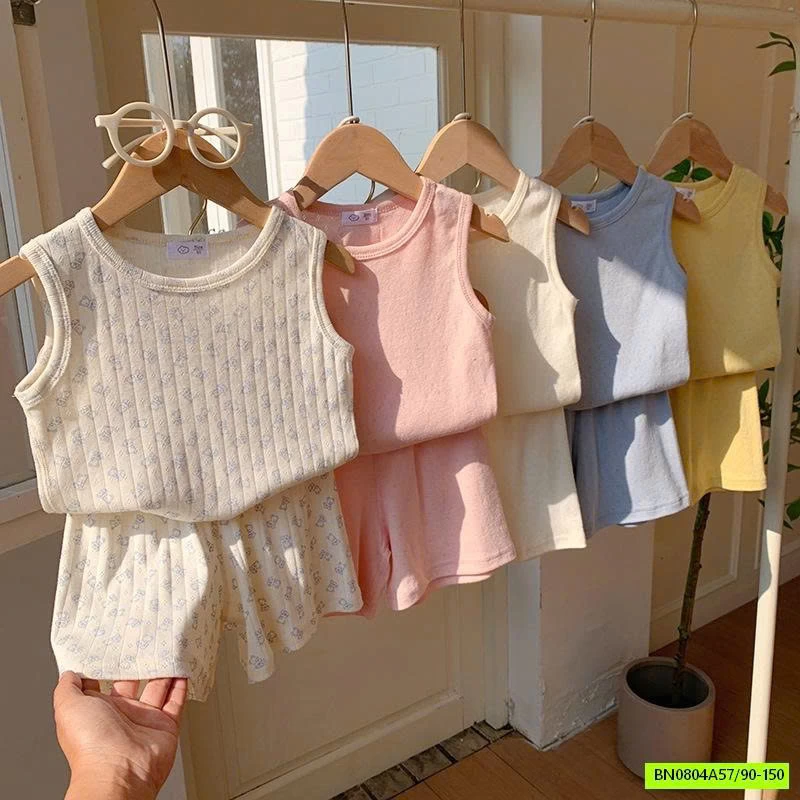 BỘ COTTON GIẤY THÔNG HƠI