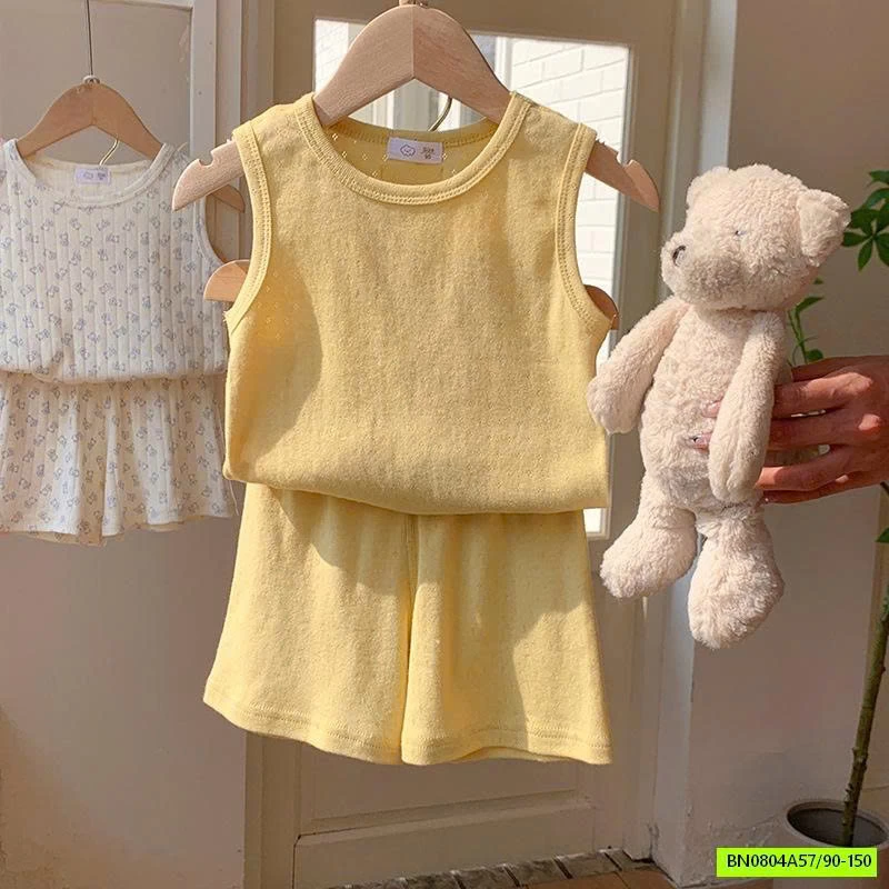 BỘ COTTON GIẤY THÔNG HƠI