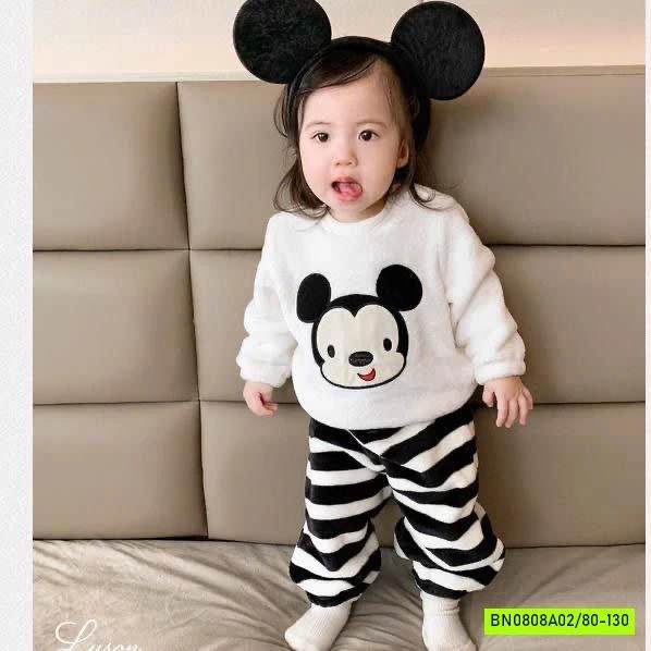 BỘ BĂNG LÔNG THÚ CƯNG